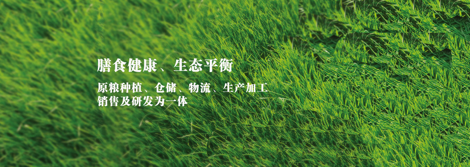 url(http://m.whaodai.com/style/banner1.jpg)